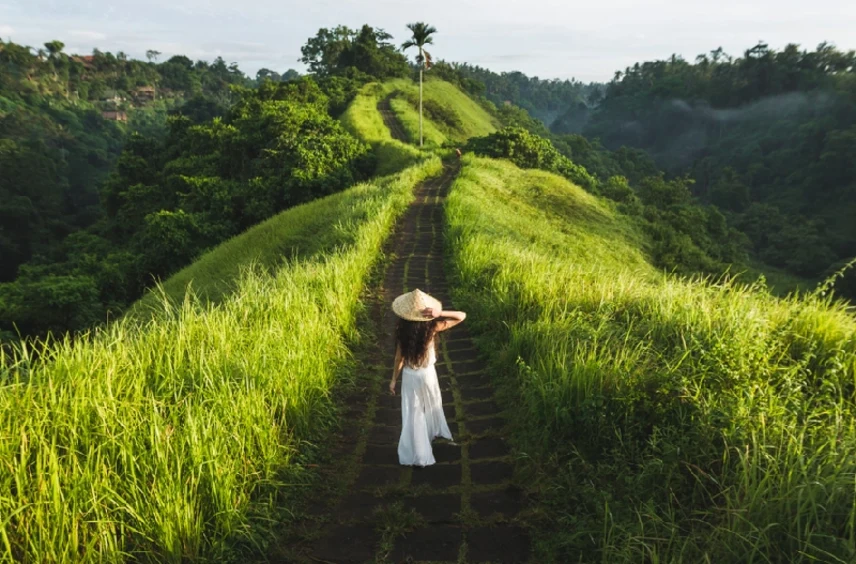 Tour Ubud