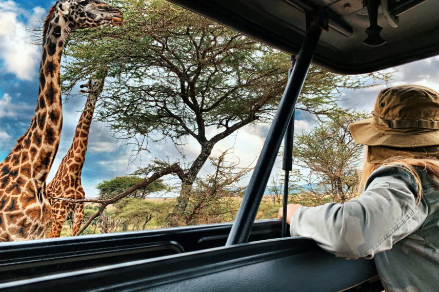 Tanzania First vs Last Impressions