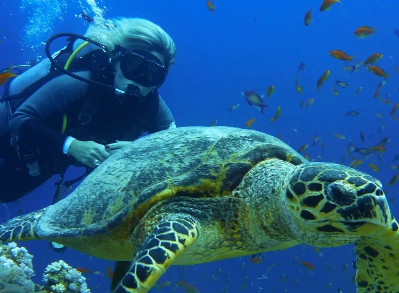 Marsa Alam o Sharm | Meglio Sharm o Marsa Alam a Dicembre