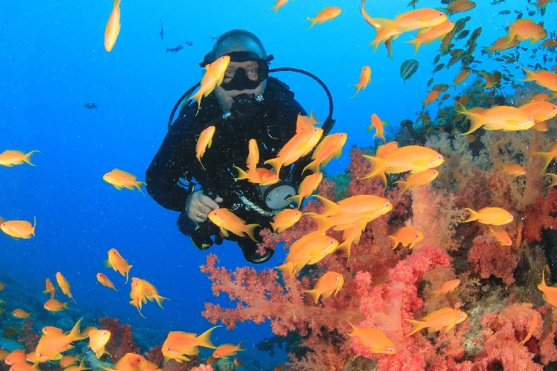 Snorkeling in Mar Rosso: i punti migliori per ammirare la barriera corallina