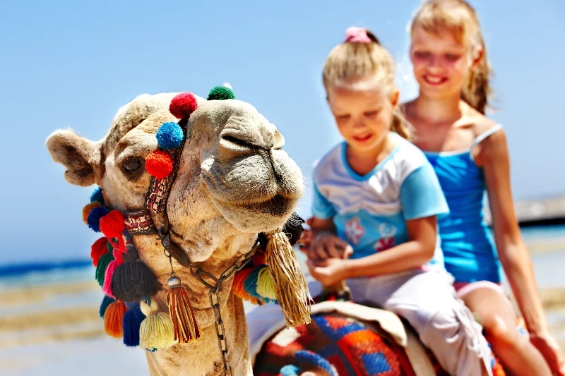 Marsa Alam o Sharm | Meglio Sharm o Marsa Alam a Dicembre