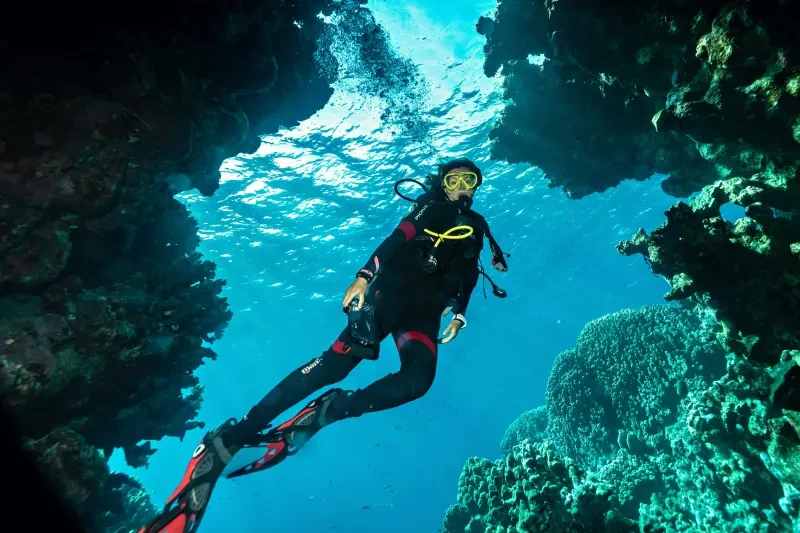 Barriera Corallina del Mar Rosso | Reef Mar Rosso