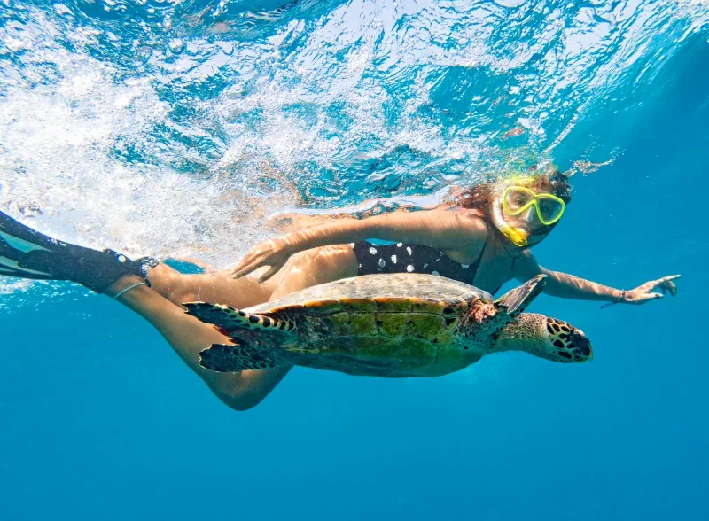 Cosa Vedere a Marsa Alam | Cosa C'è da Vedere a Marsa Alam