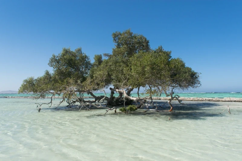 Cosa Vedere a Marsa Alam | Cosa C'è da Vedere a Marsa Alam