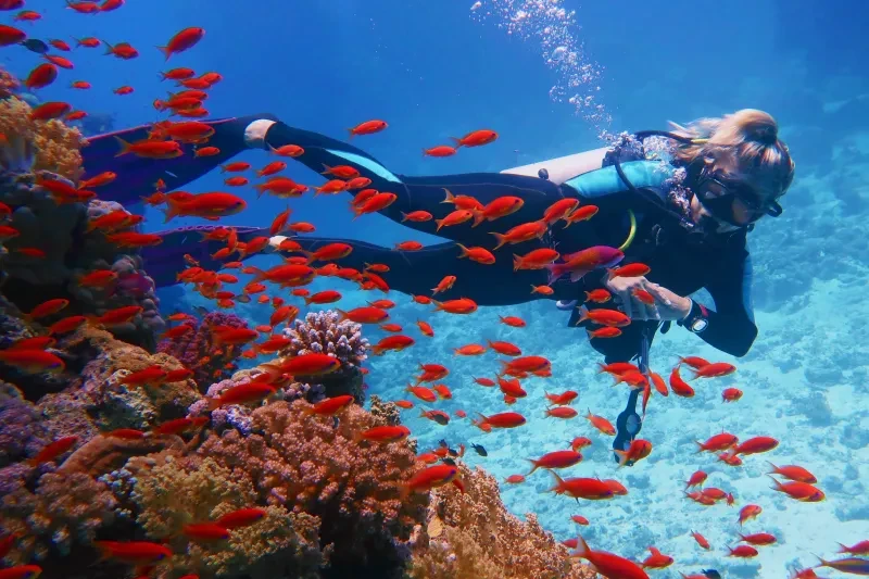 Periodo Migliore per Marsa Alam