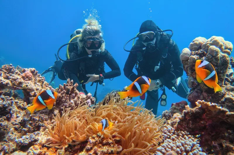 Periodo Migliore per Marsa Alam