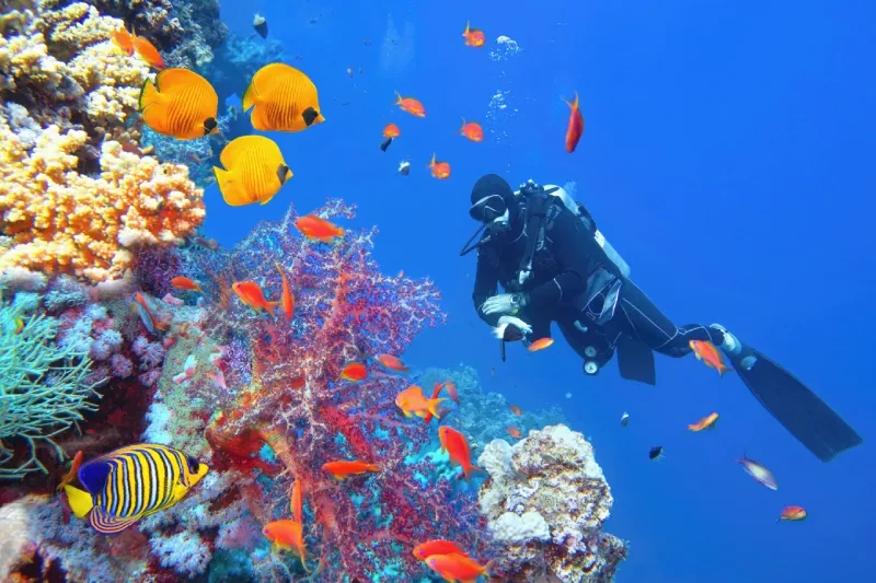 Periodo Migliore per Marsa Alam