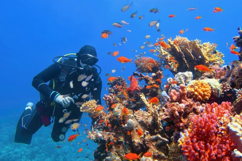 Periodo Migliore per Marsa Alam