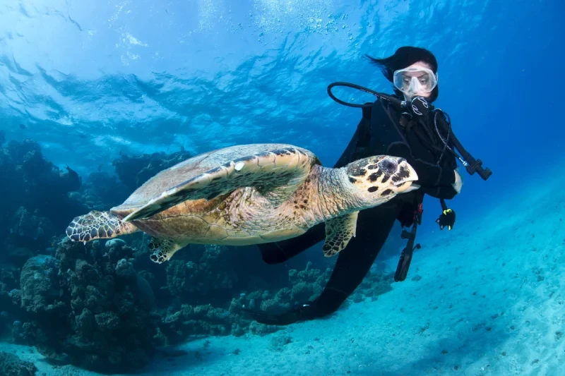 Periodo Migliore per Marsa Alam