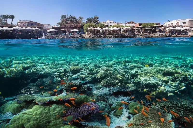 mar rosso località più belle