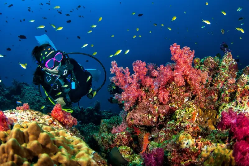 Barriera Corallina in Egitto