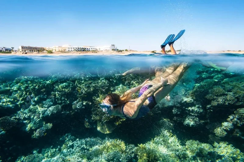 Cosa Fare a Marsa Alam