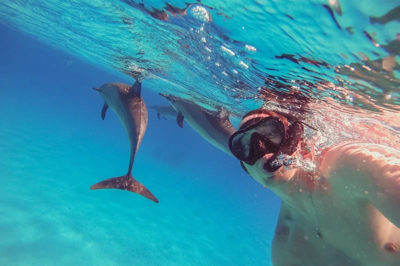 Cosa Fare a Marsa Alam