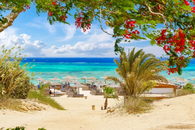Cosa Fare a Marsa Alam