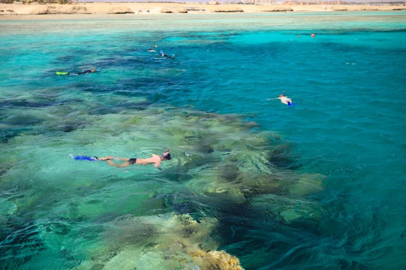 Cosa Fare a Marsa Alam
