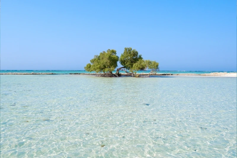 Cosa Fare a Marsa Alam