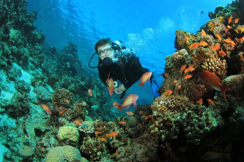 Marsa Alam Mare