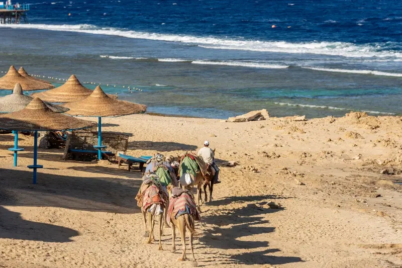 Marsa Alam Deserto