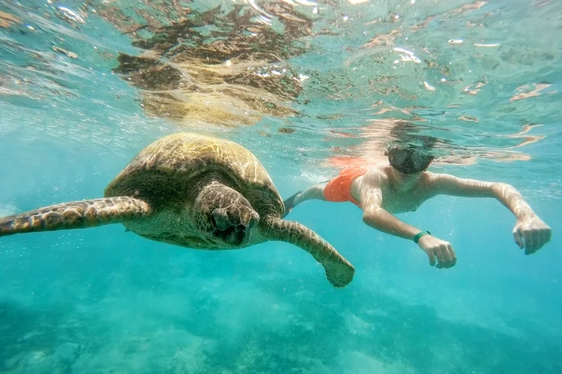 marsa alam o hurghada