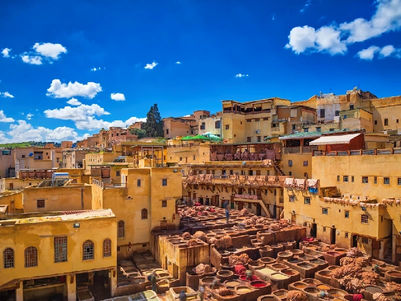 Fez’s famous leather tanning site Fez’s famous leather tanning site