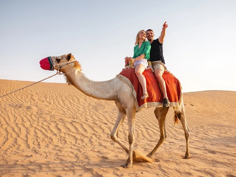 Couple riding camels in Dubai desert Couple riding camels in Dubai desert