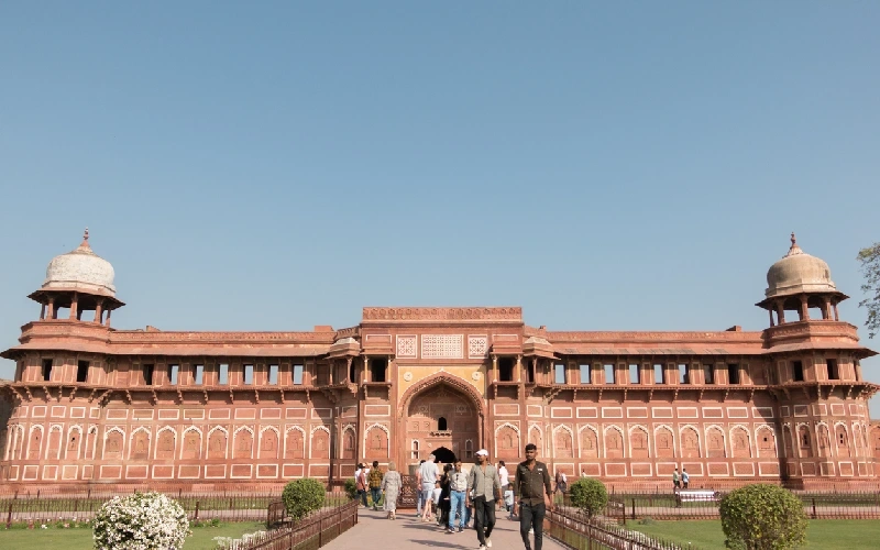 forte rosso agra forte rosso agra