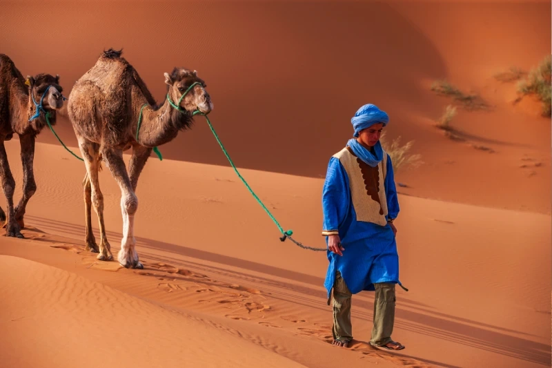 Zagora Zagora