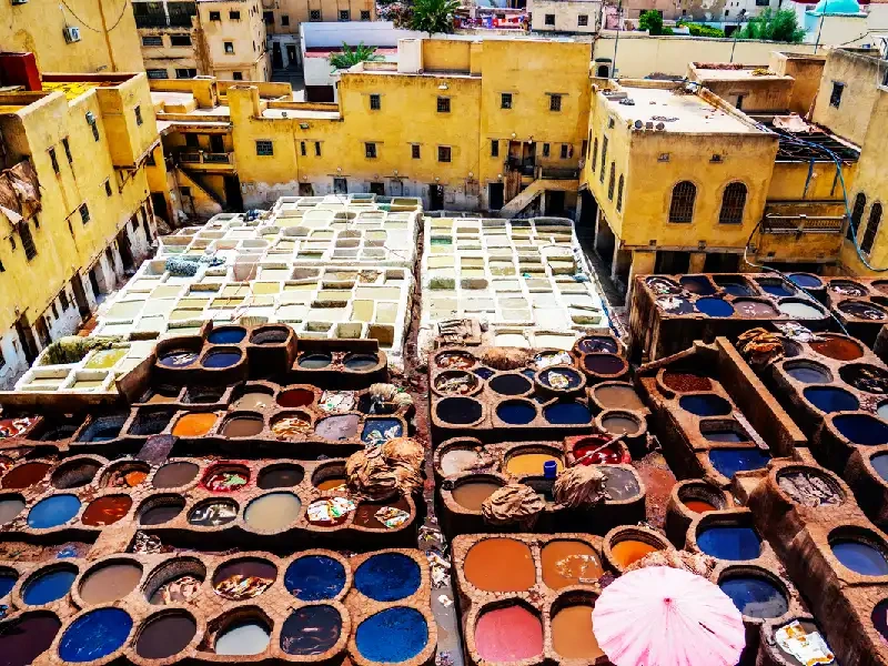 Chouara Tannery in Fez