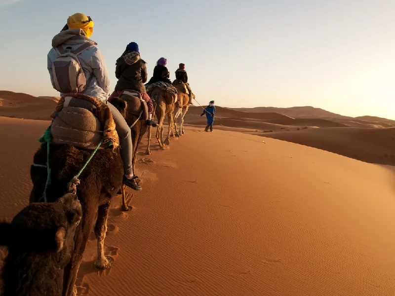 A group of friends enjoying a camel ride across Merzouga Desert dunes.