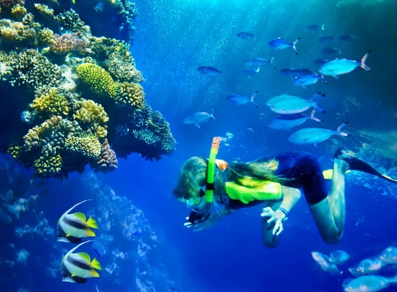 Barriera Corallina Egitto