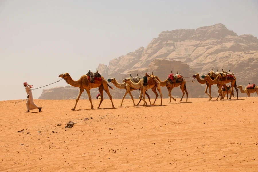 Wadi Rum, Viagem Egito Jordânia e Israel