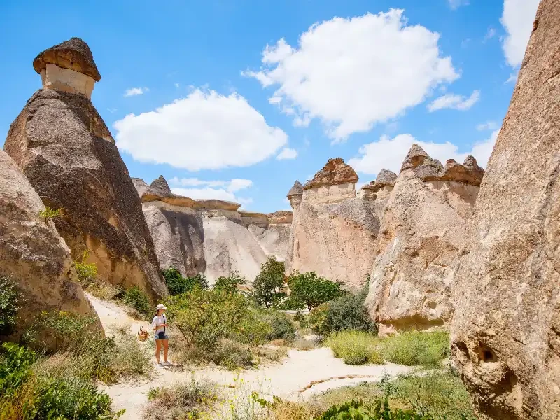 Valle di Pasabag di Cappadocia