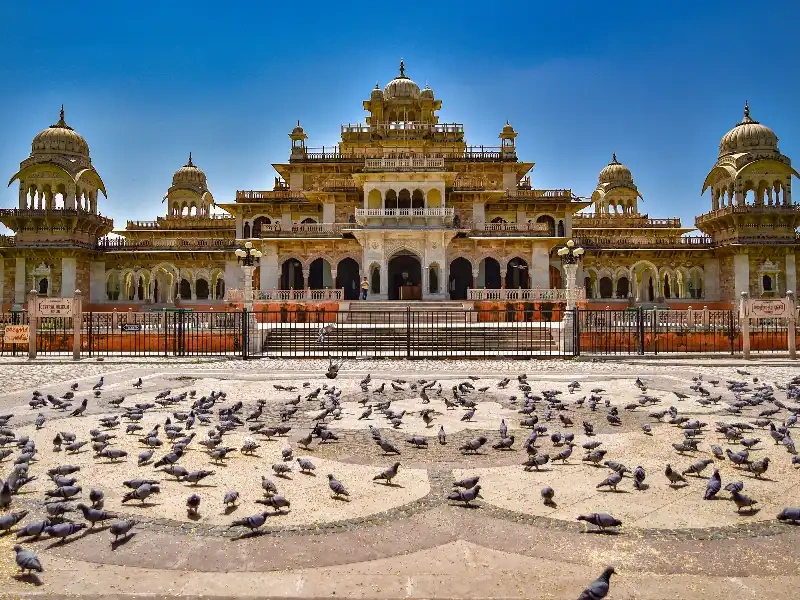 Palazzo Albert Hall, viaggio in India