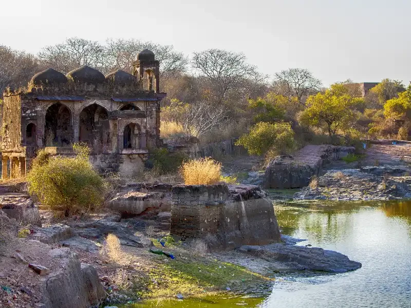 Ranthambore Forte , Tour India