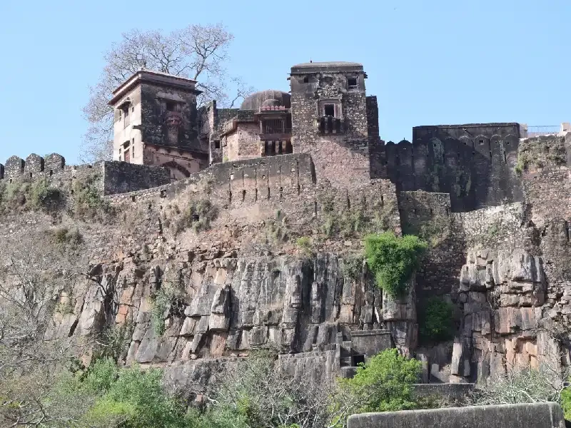 Ranthambore Forte, Tour India