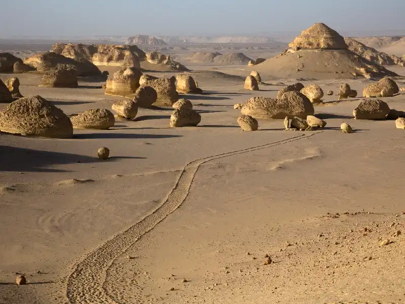 Wadi Hitan , Viaggio Deserto Egitto Wadi Hitan , Viaggio Deserto Egitto