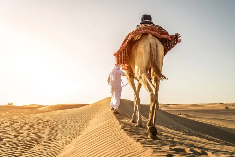 Deserto de Hisma, Roteiro Arábia Saudita 10 Dias