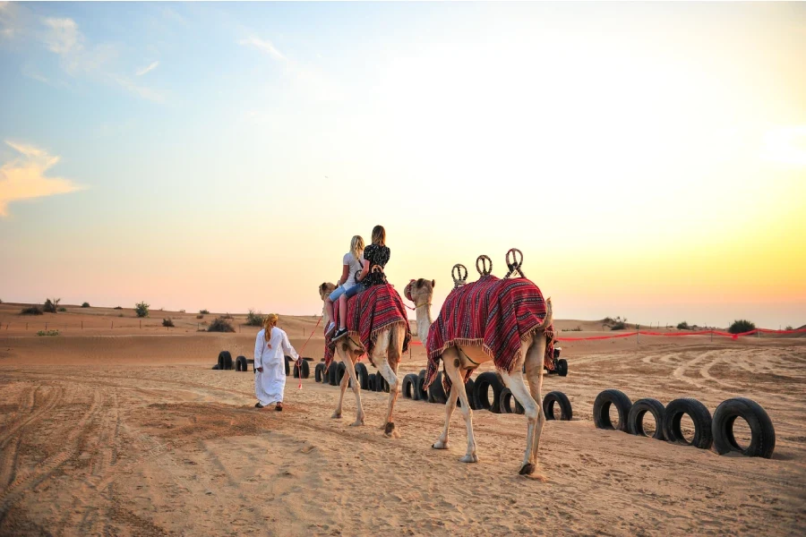 Dubai Safári, Viagem Para Arábia Saudita e Dubai