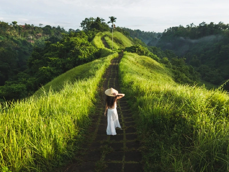 Tour Ubud