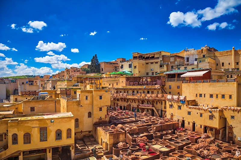 la Medina de Fez la Medina de Fez