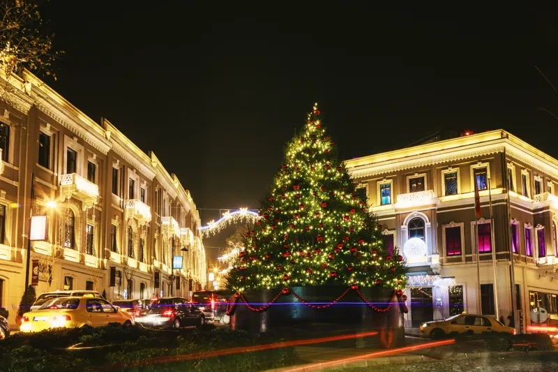 Albero di  Crismas in Istambul, Moschea di Soliamano, Turchia capodanno  Albero di  Crismas in Istambul, Moschea di Soliamano, Turchia capodanno