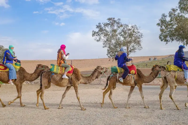 cammellata nel deserto di Agafay marocco, offerte viaggio marrakech cammellata nel deserto di Agafay marocco, offerte viaggio marrakech