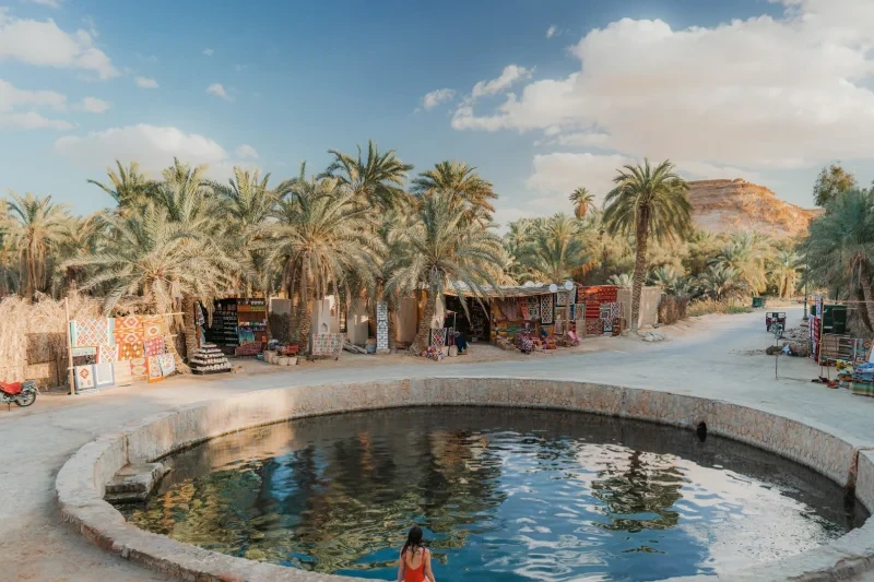 viaggio organizzato in Egitto viaggio organizzato in Egitto