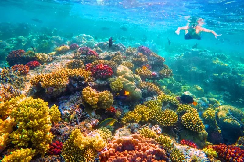 Viaggio Egitto Piramidi e Mare Viaggio Egitto Piramidi e Mare