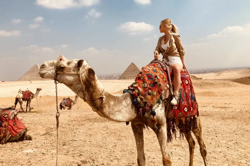 crociera sul nilo e lago nasser crociera sul nilo e lago nasser