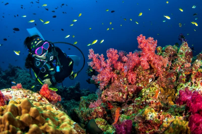 viaggio organizzato egitto viaggio organizzato egitto