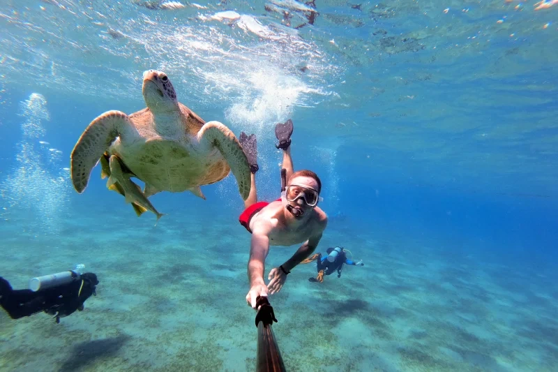 viaggio organizzato egitto viaggio organizzato egitto