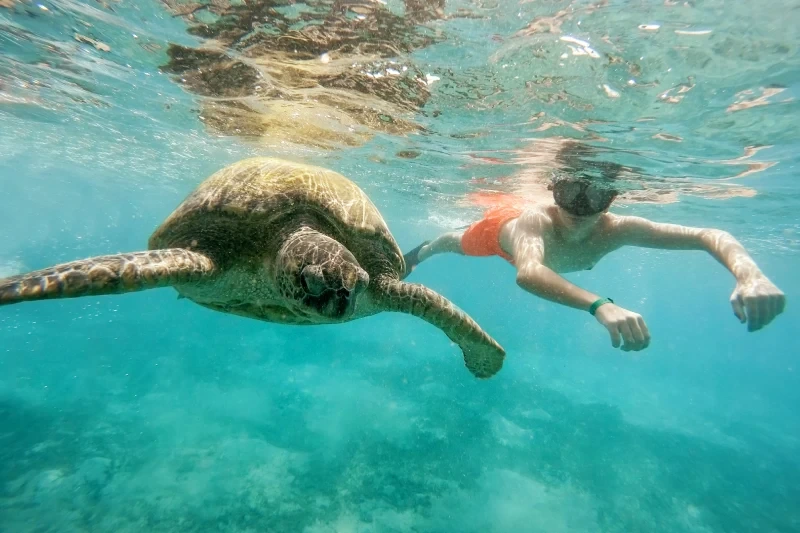 Escursione Isola Mahmya Escursione Isola Mahmya