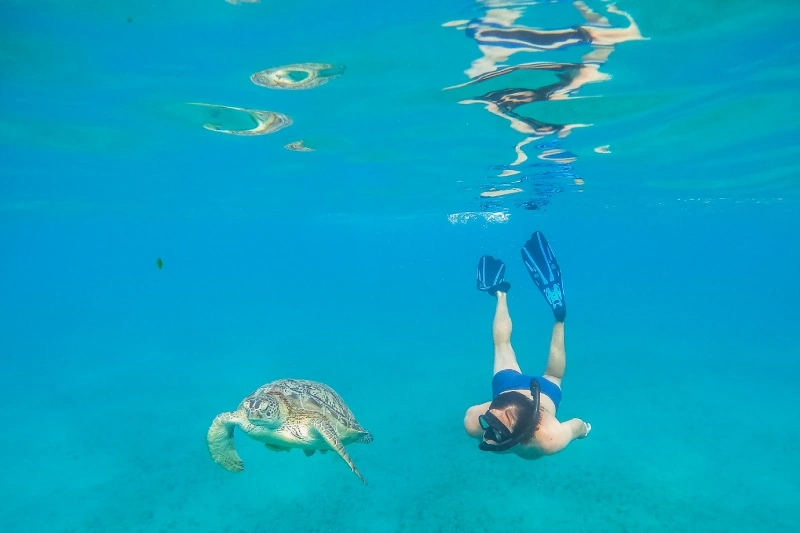 Abu Dabbab Escursioni Abu Dabbab Escursioni