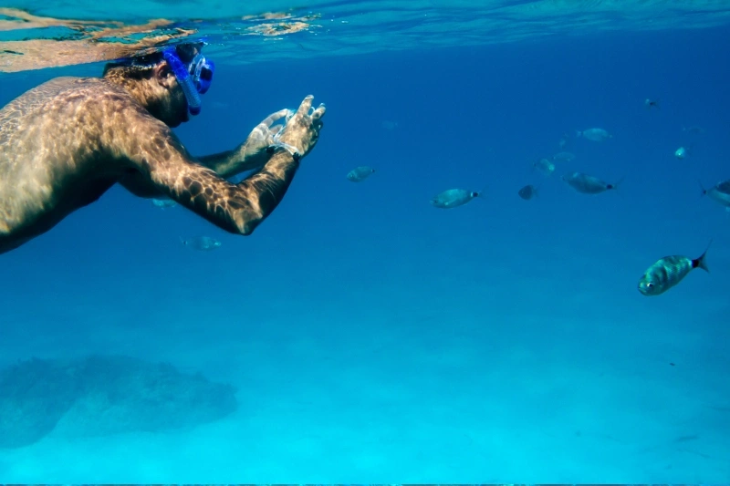 escursione isole Hamata escursione isole Hamata